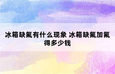 冰箱缺氟有什么现象 冰箱缺氟加氟得多少钱